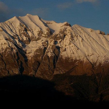 مبيت وإفطار Cerveno Catif Ladru المظهر الخارجي الصورة
