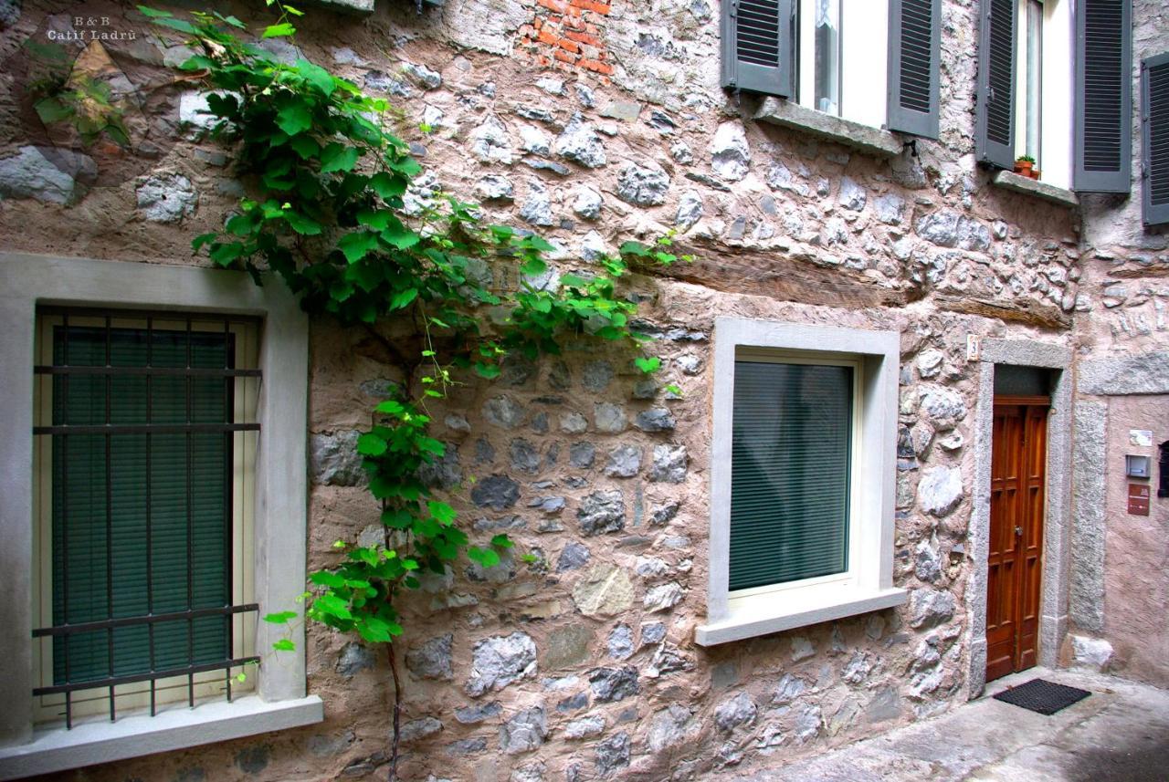 مبيت وإفطار Cerveno Catif Ladru المظهر الخارجي الصورة