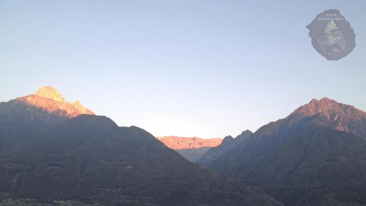 مبيت وإفطار Cerveno Catif Ladru المظهر الخارجي الصورة